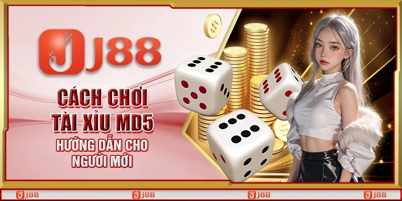 Cách chơi tài xỉu md5 - Hướng dẫn cho người mới