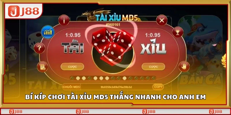 Bí kíp chơi Tài Xỉu MD5 thắng nhanh 