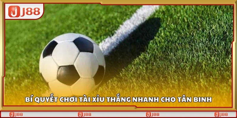 Bí quyết chơi tài xỉu thắng nhanh cho tân binh