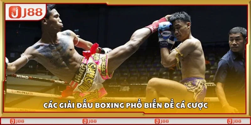 Các giải đấu boxing phổ biến để cá cược