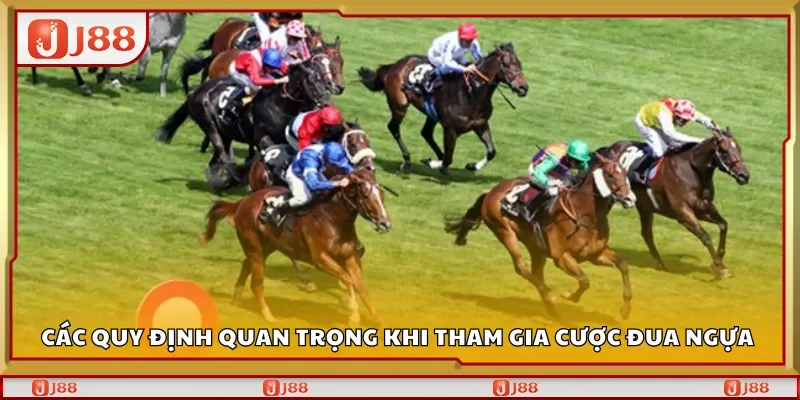 Các quy định quan trọng khi tham gia cược đua ngựa 