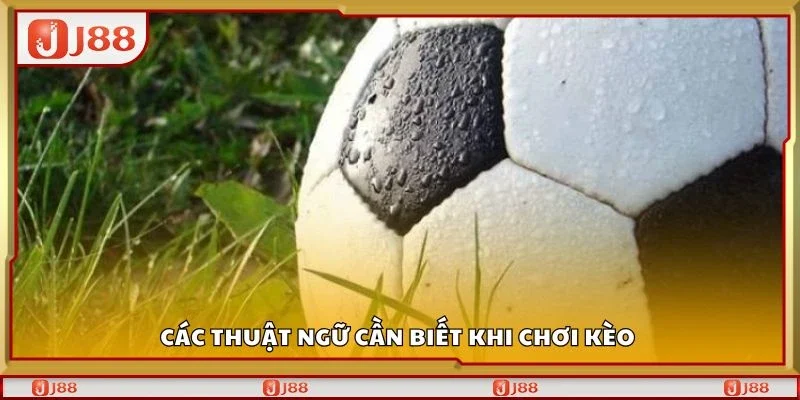 Các thuật ngữ cần biết khi chơi kèo 