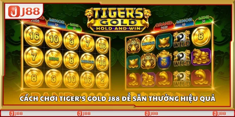 Cách chơi Tigers Gold J88 để săn thưởng hiệu quả