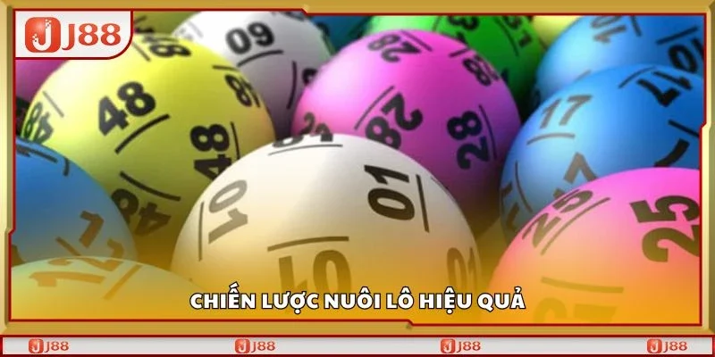 Chiến lược nuôi lô hiệu quả