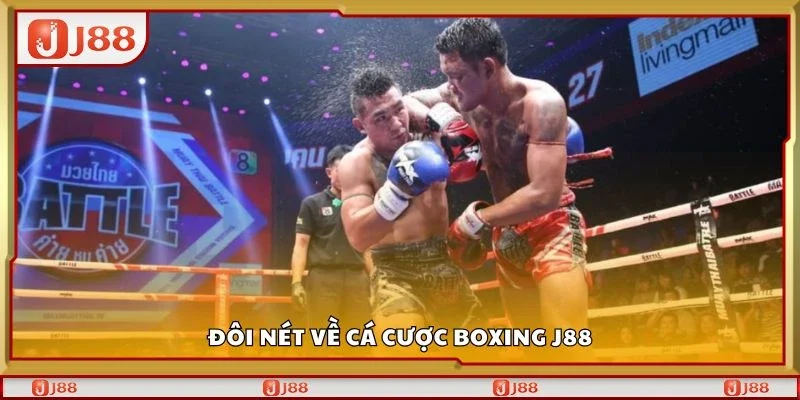 Đôi nét về cá cược boxing J88
