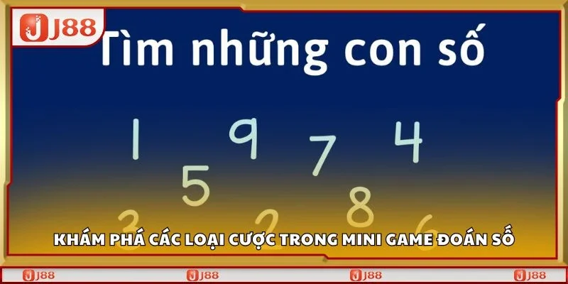 Khám phá các loại cược trong mini game đoán số