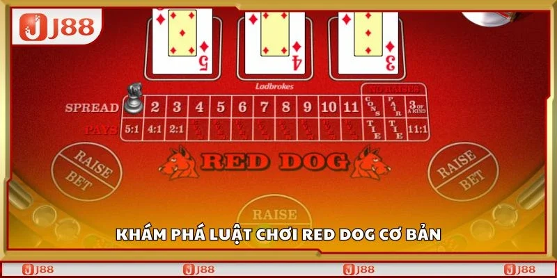 Khám phá luật chơi red dog cơ bản