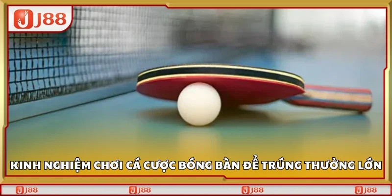 Kinh nghiệm chơi cá cược bóng bàn để trúng thưởng lớn