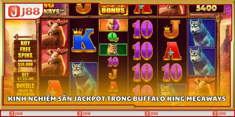 Kinh nghiệm săn jackpot trong Buffalo King Megaways