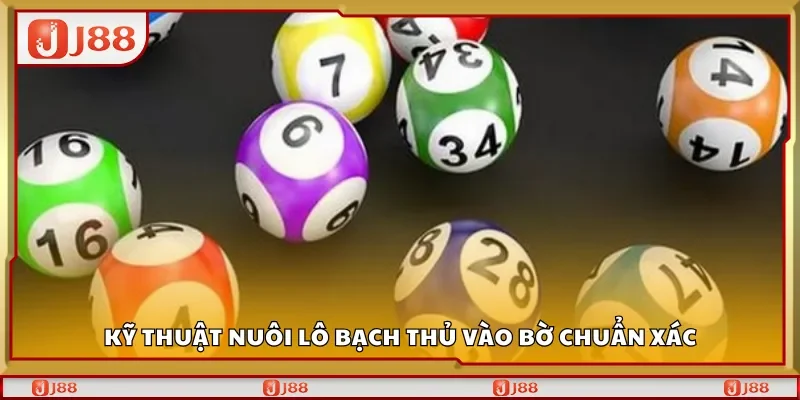 Kỹ thuật nuôi lô bạch thủ vào bờ chuẩn xác