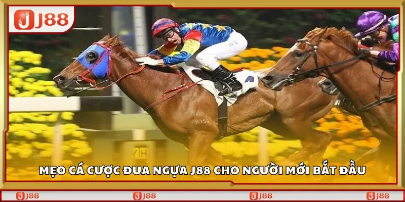 Mẹo cá cược đua ngựa J88 cho người mới bắt đầu