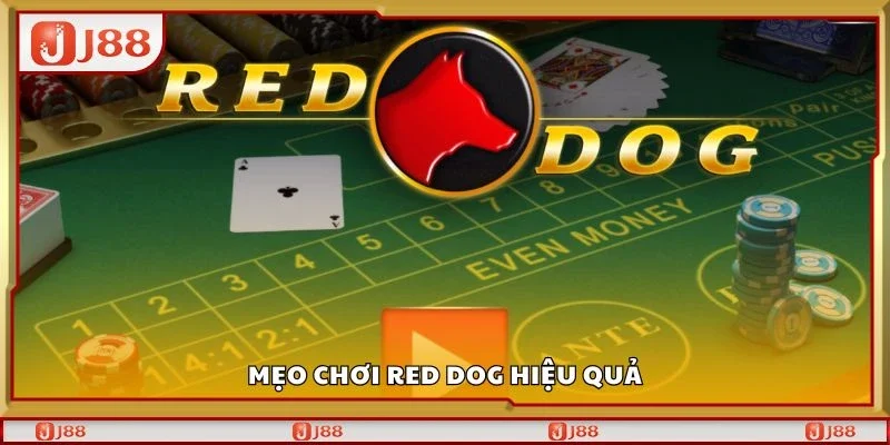 Mẹo chơi red dog hiệu quả