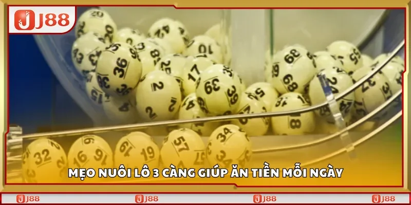 Mẹo nuôi lô 3 càng giúp ăn tiền mỗi ngày