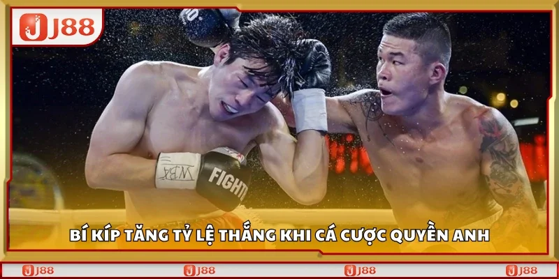 Mẹo tăng tỷ lệ thắng khi cá cược quyền anh