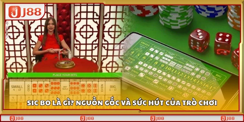 Sic Bo là gì? Nguồn gốc và sức hút của trò chơi