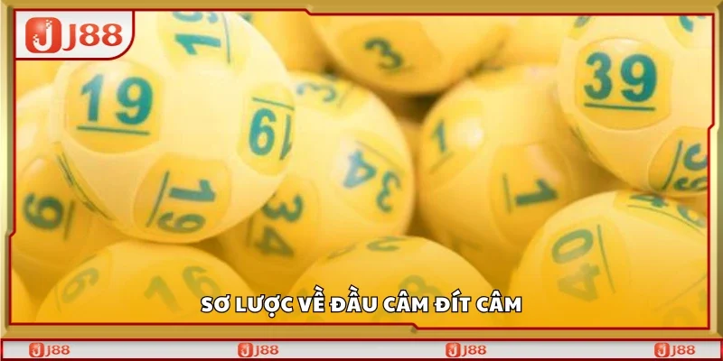 Sơ lược về đầu câm đít câm