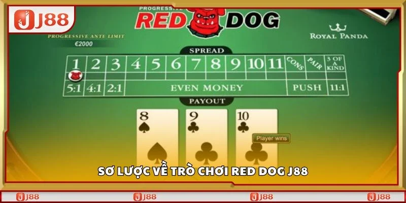 Sơ lược về trò chơi red dog J88