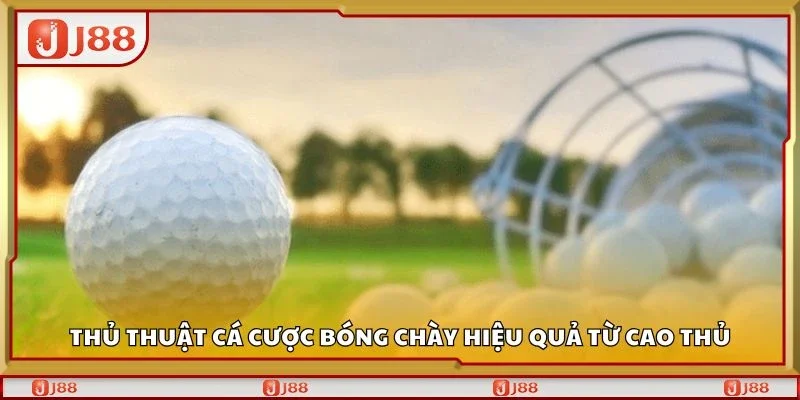 Thủ thuật cá cược bóng chày hiệu quả từ cao thủ