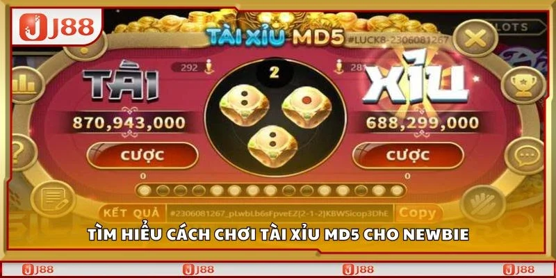 Tìm hiểu cách chơi tài xỉu md5 cho newbie
