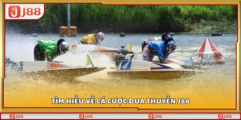 Tìm hiểu về cá cược đua thuyền J88