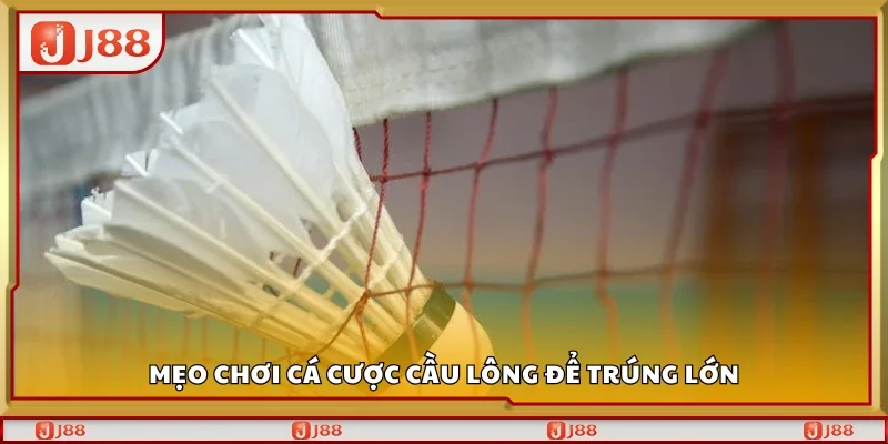 Tips chơi cá cược cầu lông để trúng lớn