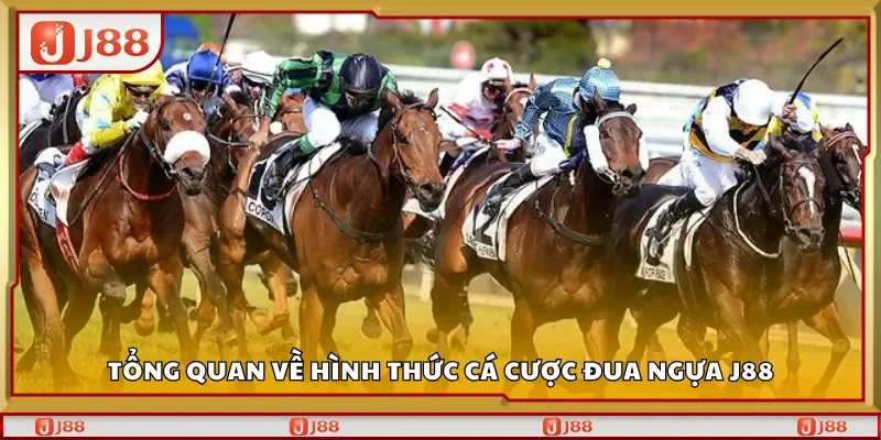 Tổng quan về hình thức cá cược đua ngựa J88