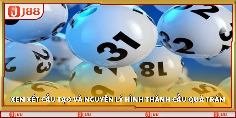 Xem xét cấu tạo và nguyên lý hình thành cầu quả trám